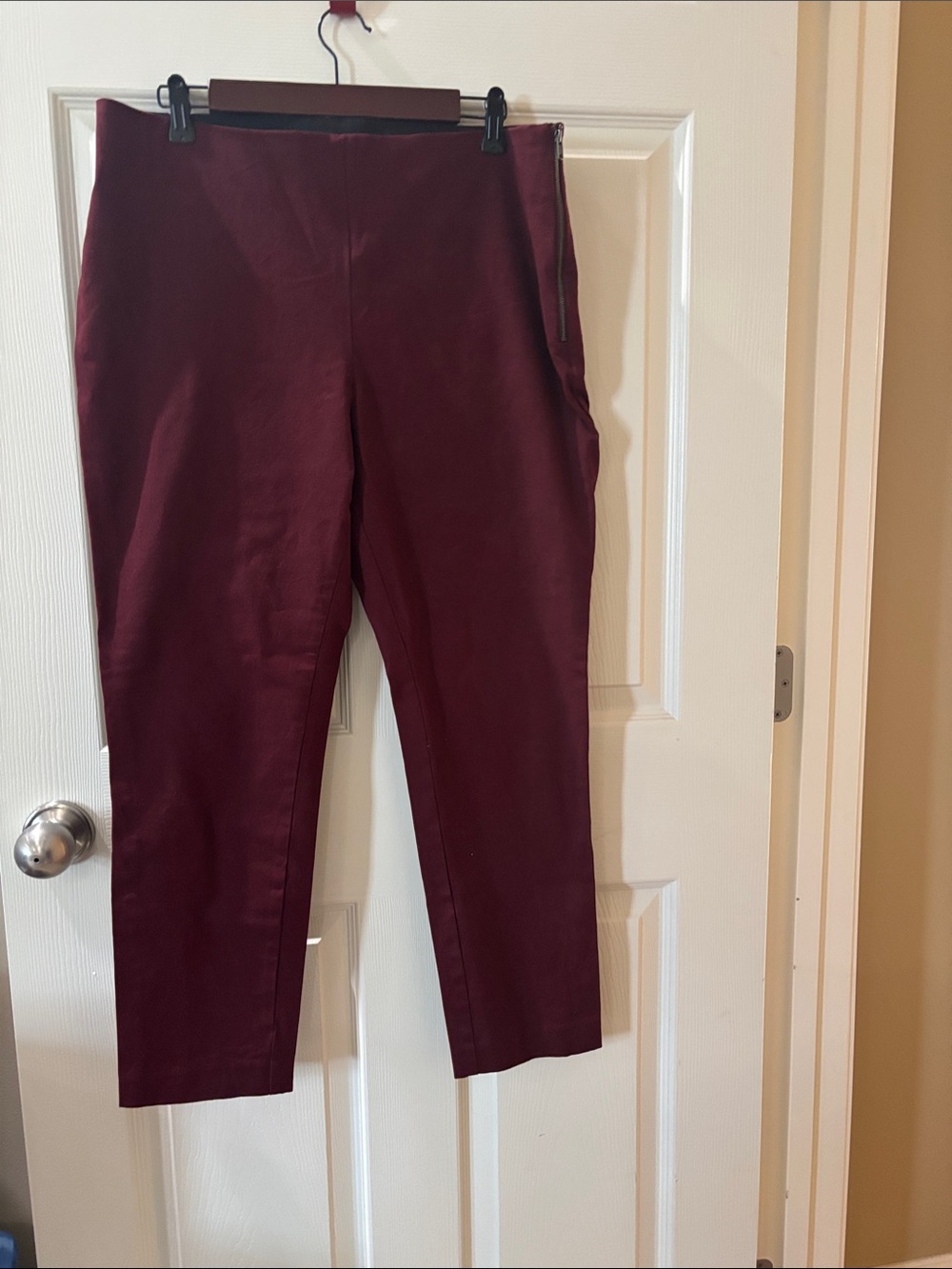 a new day Wine Ponte Ankle Pants
